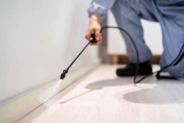 Licensed Mosquito Control service in Fortville, IN - Show Me Pest Control