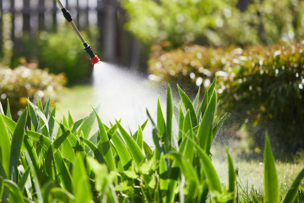 24/7 Emergency Mosquito Control experts in Fortville, IN